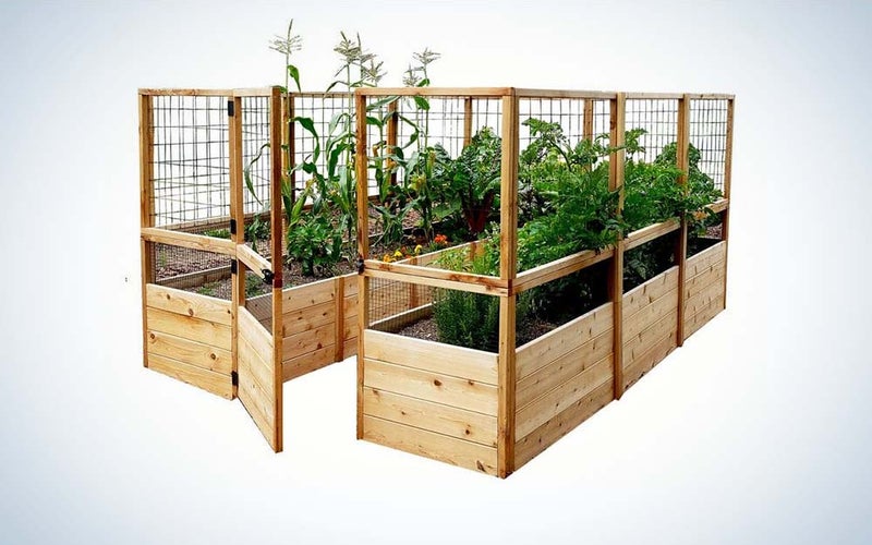 Outdoor Living Today makes one of the best raised garden beds that's large.