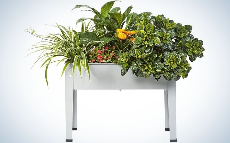 A gray garden bed structure in the shape of a four-legged table, full of green flowers.